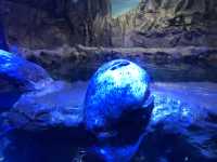 濟州島水族館｜一篇在手，暢遊無憂