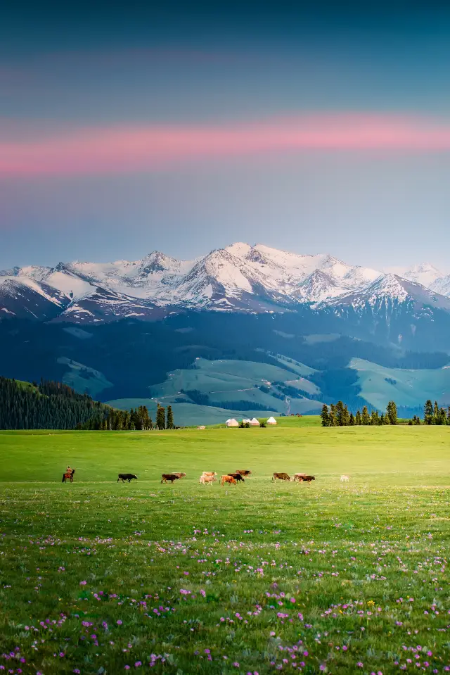 イリで馬に乗って草原を駆け抜ける日々...