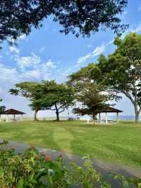 海風與椰影：東海岸公園的悠然時光