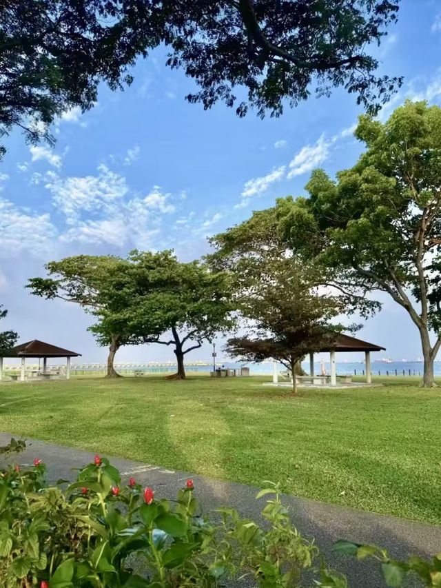 海風與椰影：東海岸公園的悠然時光