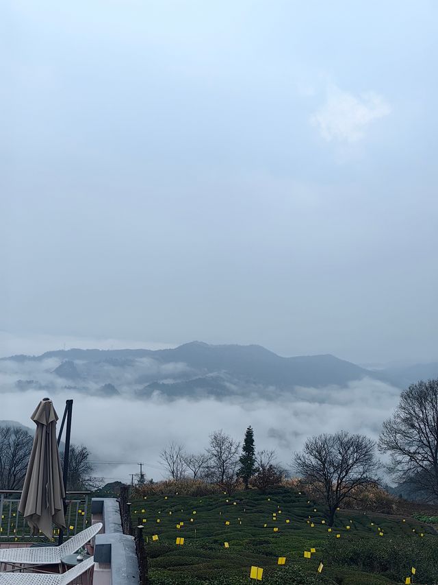 尋找徽州下一個旅行目的地，休寧金龍山