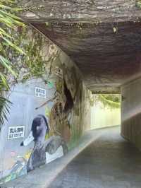 潮汐之間的綠色詩篇：紅樹林海濱生態公園漫遊記