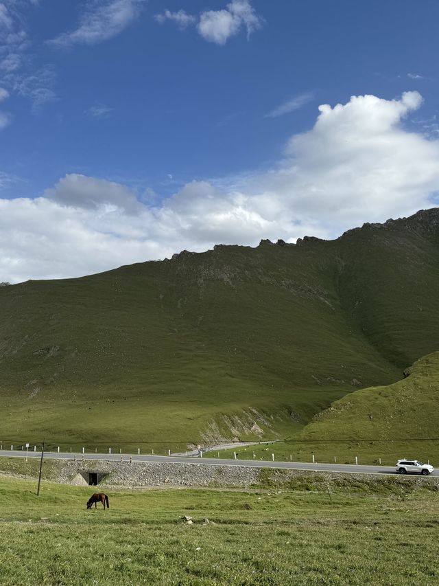 小長假玩轉塔城地區等地  睇呢篇就夠啦