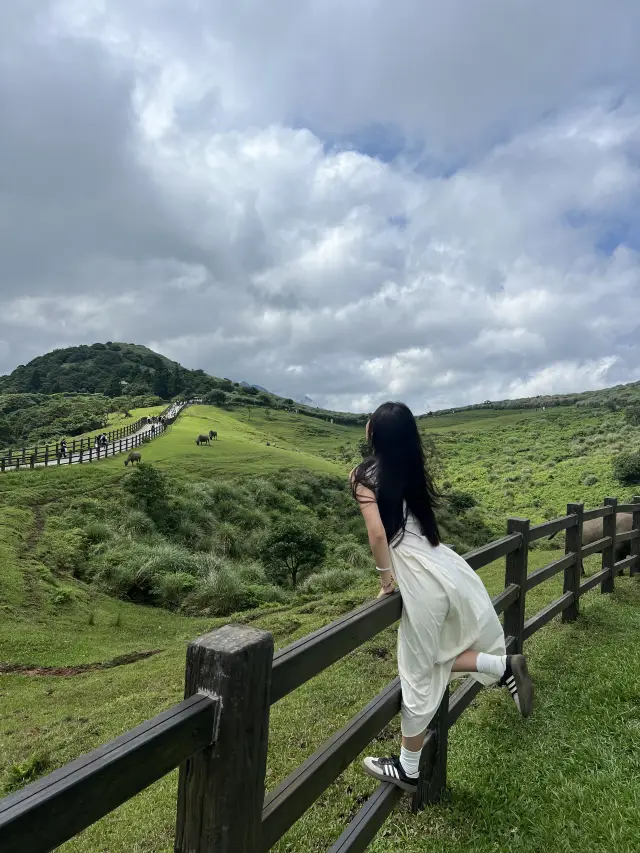 台北陽明山1日遊攻略🌋小油坑/夢幻湖/擎天崗