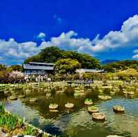打卡日本福岡天滿宮