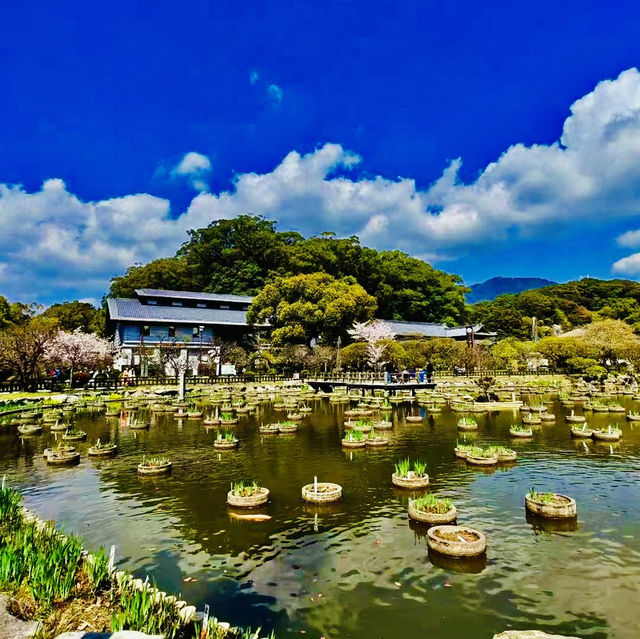 打卡日本福岡天滿宮