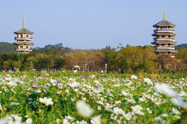 玉林市五彩田園風景區