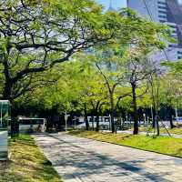 深圳原來有個荔枝公園？