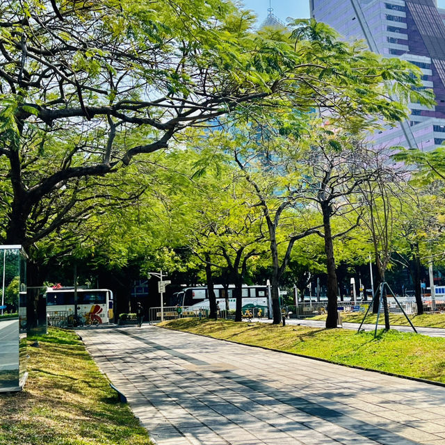 深圳原來有個荔枝公園？