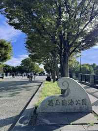 海風與綠意的交響曲：漫步葛西臨海公園