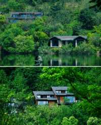 富春江畔睡進《山居圖》！杭州富春芳草地