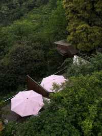 峨眉七里坪住童話森林樹屋偶遇大山精靈梅花鹿