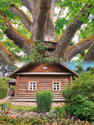 Spring Outing Day Trip Guide: Pskov Mikhailovskoye Estate – Love at First Sight