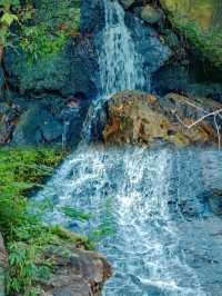 綠意禪韻，登臨西樵山——嶺南名山的詩意漫遊