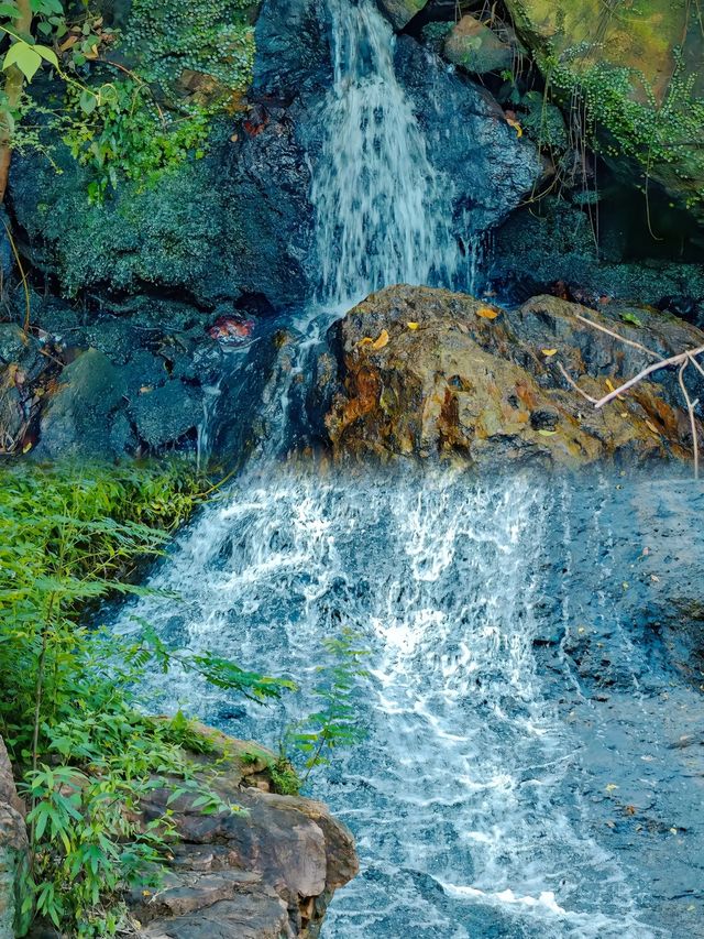 綠意禪韻，登臨西樵山——嶺南名山的詩意漫遊