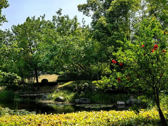 養眼養肺養心~~天目湖涵田度假村養心谷