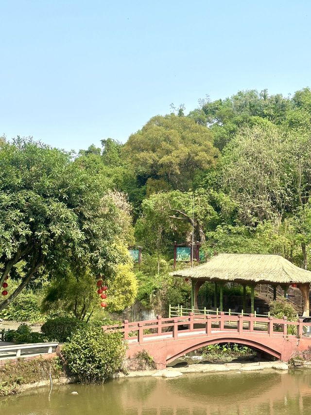 五一去番禺蓮花山睇花海真係超級靚🪷