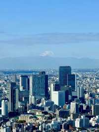 雍容中的睿智選擇：東京麗思卡爾頓酒店
