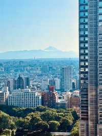 新宿核心的經典代表：東京京王廣場大酒店