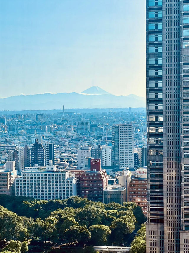 新宿核心的經典代表：東京京王廣場大酒店