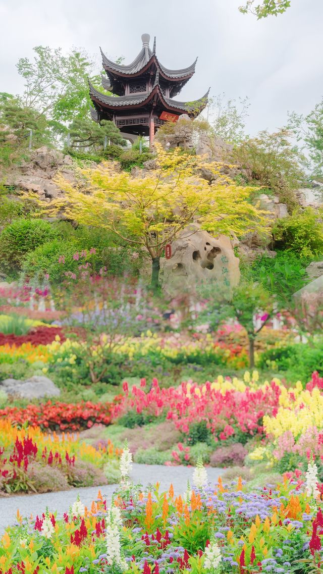 世園公園去延慶唔好錯過嘅寶藏遛娃地