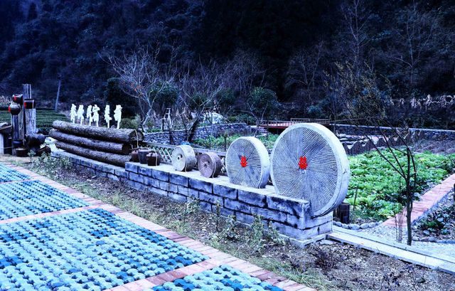 鶴峰四日遊攻略