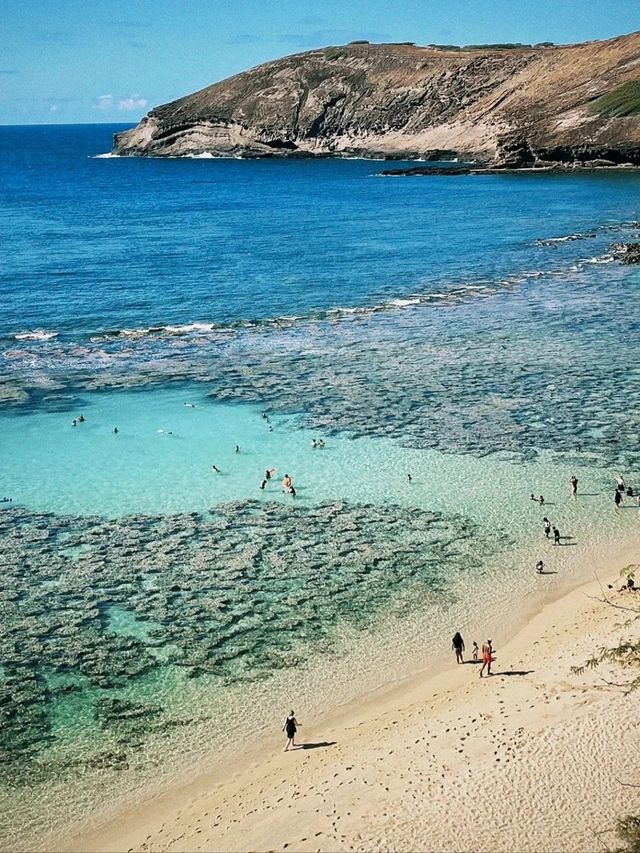Aloha！夏威夷實在太靚 完全唔想走