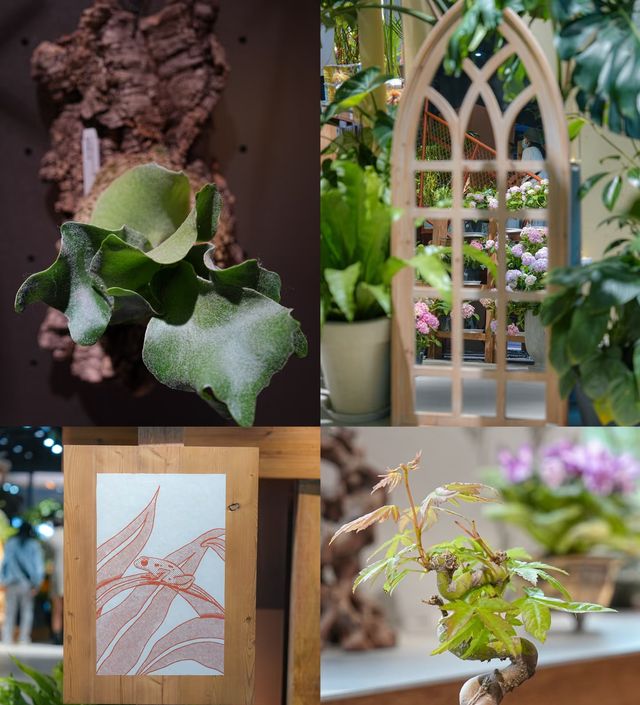 救命！上海市中心竟然隱藏咗個治癒系森林花園