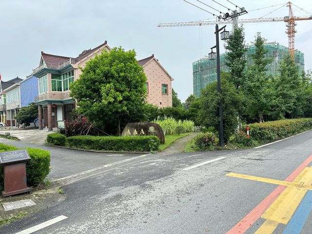 桐鄉周邊遊 賞荷花啦