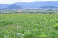納帕海依拉草原
