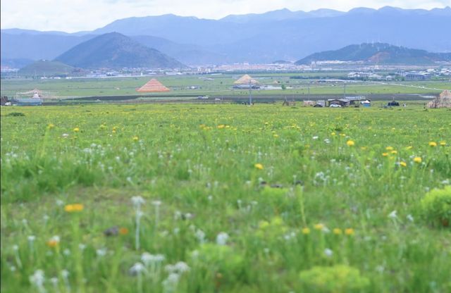 納帕海依拉草原
