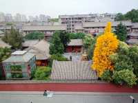 Off the Tourist Trail: A Backpacker's Pilgrimage to Guangren