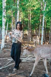 漠河馴鹿園究竟值唔值得去？等我話你知答案
