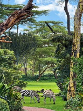 A once-in-a-lifetime breathtaking experience, don’t miss it or wait until next year