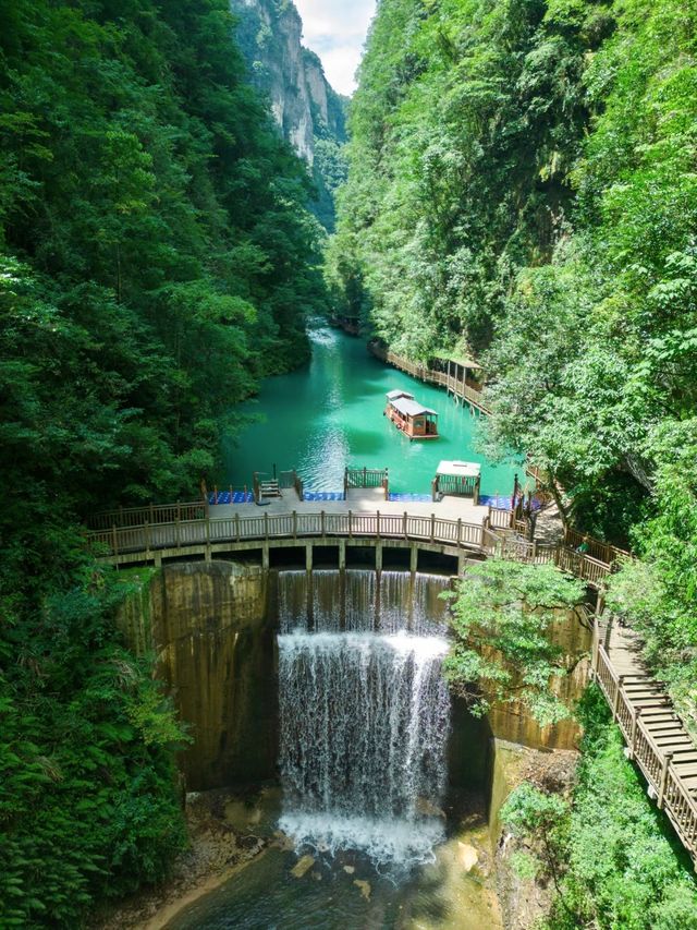 張家界撒歡指南｜喺奇峰秀水入面做野生玩家