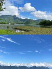 探秘「華中屋脊」，邂逅野人傳說！