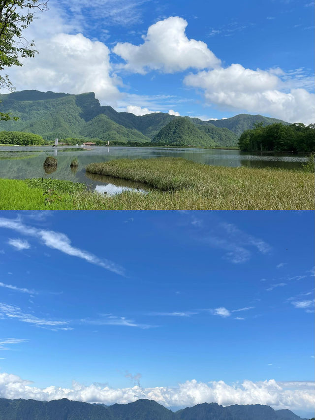 探秘「華中屋脊」，邂逅野人傳說！