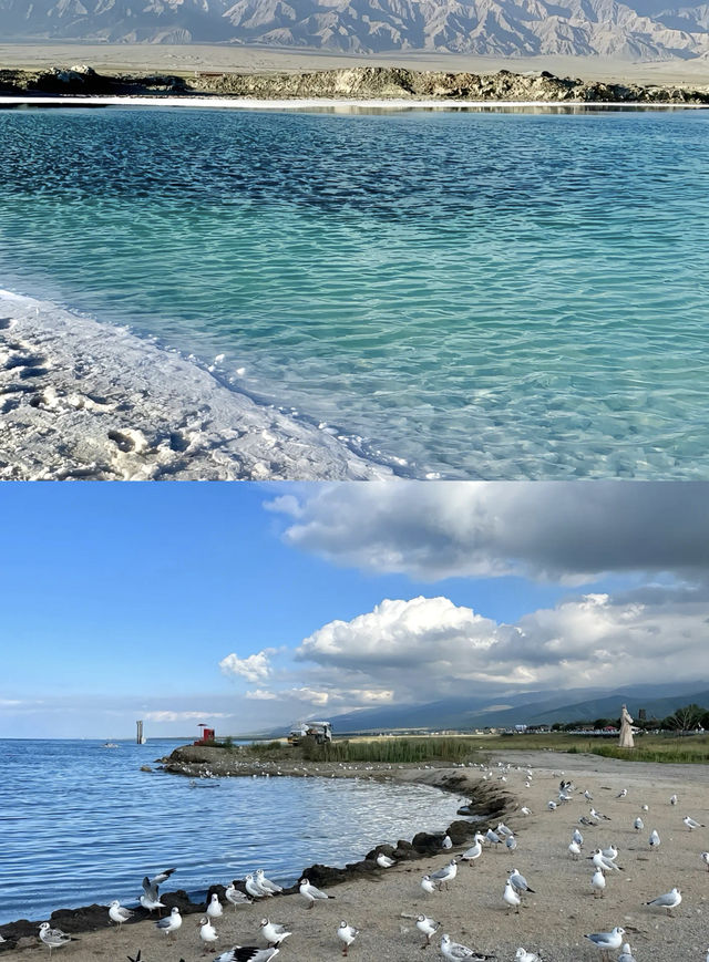 青海湖旅遊攻略