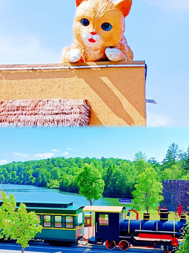 反向旅遊！喺熱辣辣嘅夏天，去搵超「冷」門嘅地方～