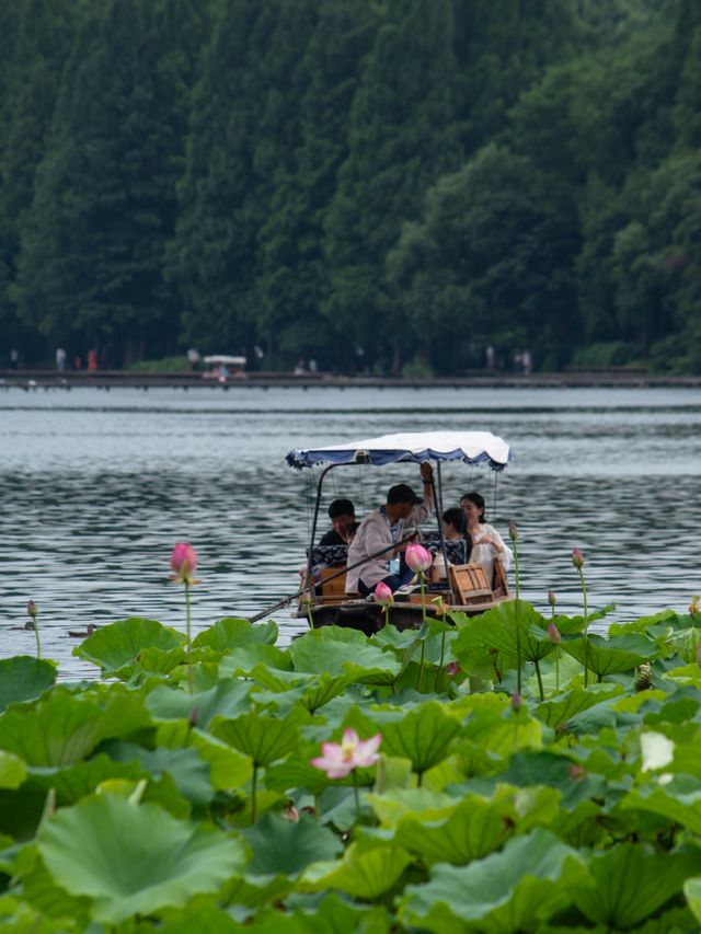 真係冇人｜夏日西湖秘境Citywalk精華路線