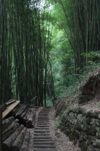 暴雨過後，沐心美宿自成詩畫