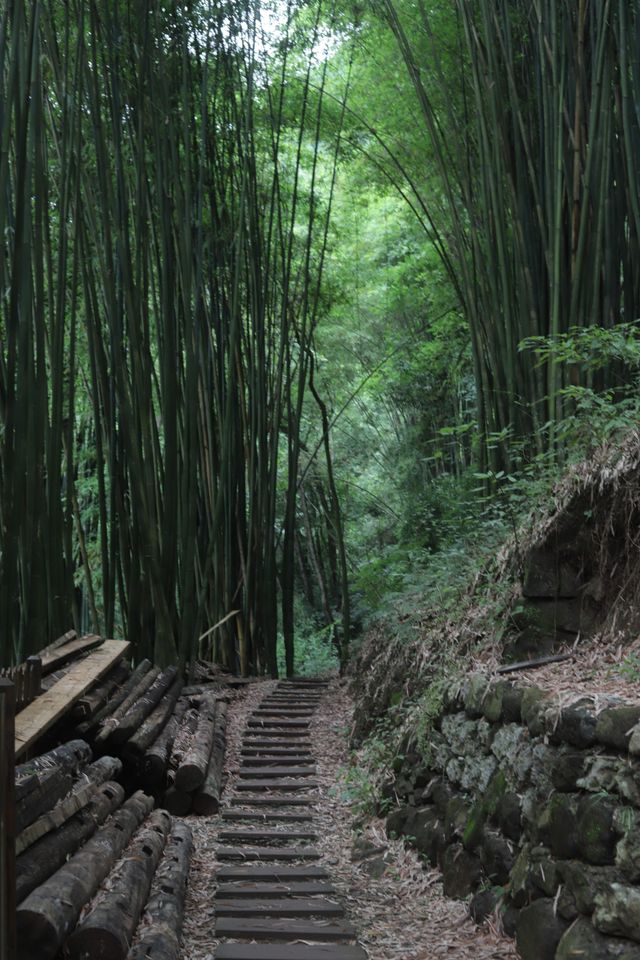 暴雨過後，沐心美宿自成詩畫