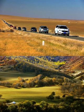 Inner Mongolia National Day Autumn Viewing Guide, Treasure Autumn Colors on the Vast Grasslands