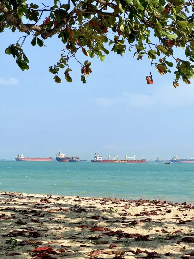 為了拍這些照片我在新加坡跑爛了鞋子  新加坡太好拍啦 喜歡這個現代與自然交織的城市 這次我暴