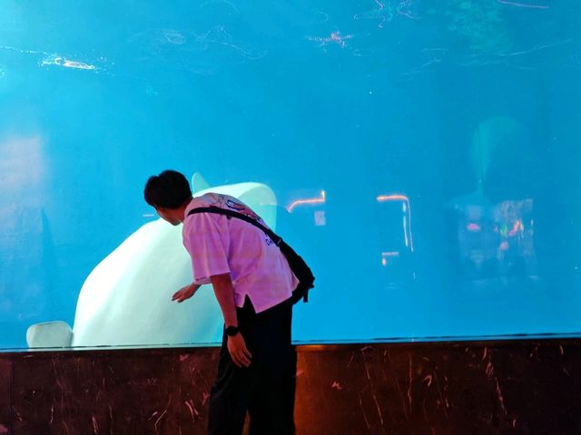成都極地海洋公園深度漫遊指南｜避開人潮的私房攻略