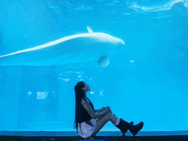 闖入童話海洋館