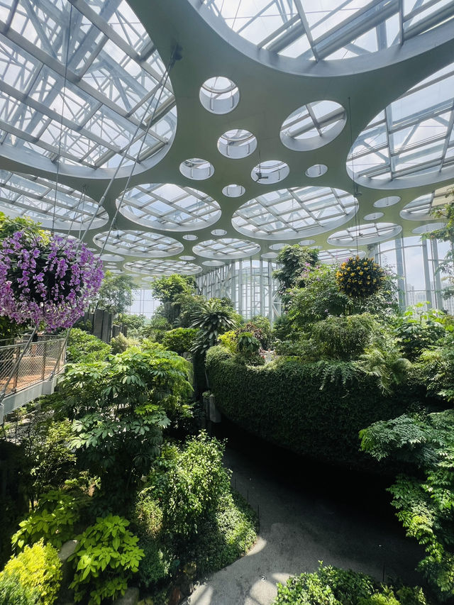 Discover the Beauty of Shanghai Greenhouse Garden! 🌼