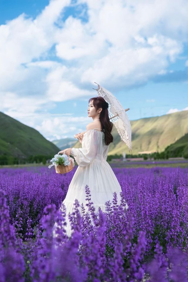 白裙與紫浪，薰衣草田裡的夏日情書