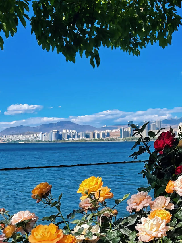 等晚風把洱海吹成一塊碎鑽，我哋就出發