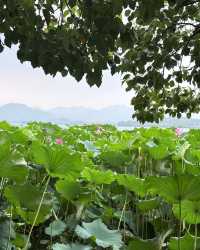 預算2000蚊，杭州4日3夜遊，慳到笑！